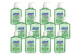 PURELL Advanced Hand Sanitizer with Aloe | 8 oz Pump Bottle | 12-Pack